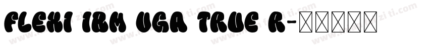Flexi IBM VGA True R字体转换